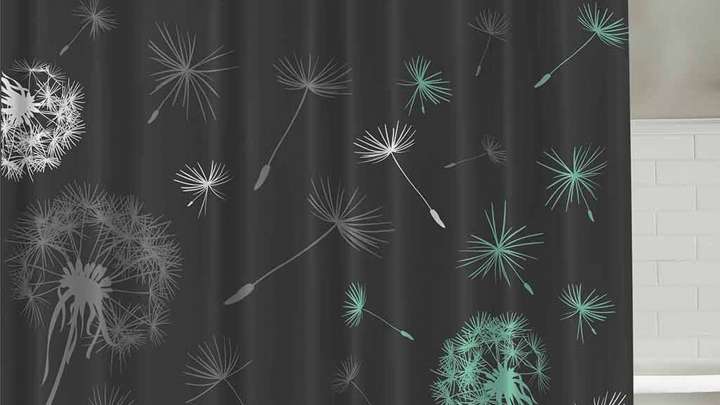 Taraxacum