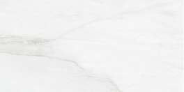 Venus Visone Lapp/Rett 60x120 (36уп)