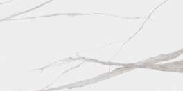 Dogma Project Antibacterial Керамогранит Calacatta Levigato 60x120 полированный