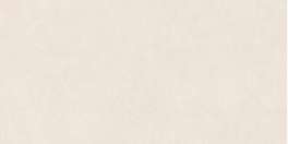 КЕРАМОГРАНИТ 05955 CALCE RESIN NAT RET 60x120