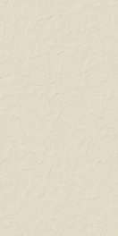 LOGAN BONE  60 X 120  MATT RECTIFIED