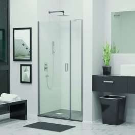 Душевая дверь RGW LE-008 (LE-003 + Z-09) (Прозрачное, 900)