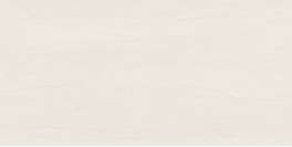 EC.SOUTHWELL VEIN white 60*120