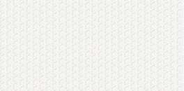 Pav. Delta white 30x60