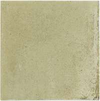 30820 Raku Sage 10х10