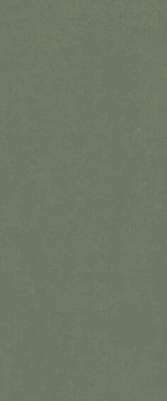 СЕР.ФОРЕСТ ГРИН 50X120 РЕТ арт. 81038