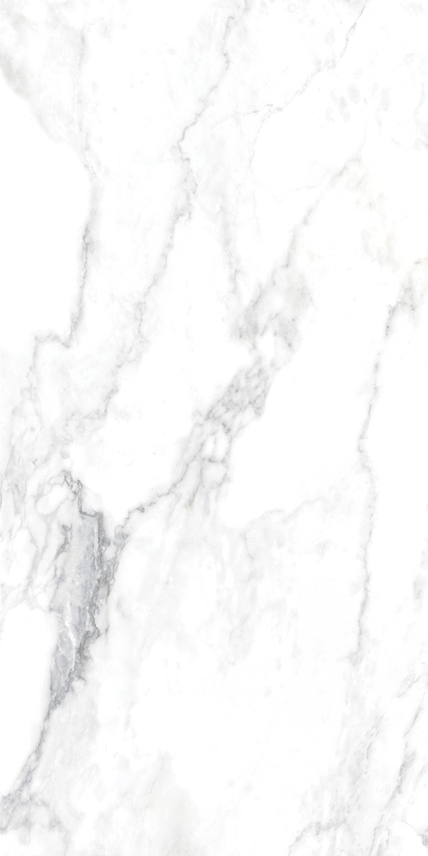 CANOVA ARABESCATO RET 60x120  8,5 мм