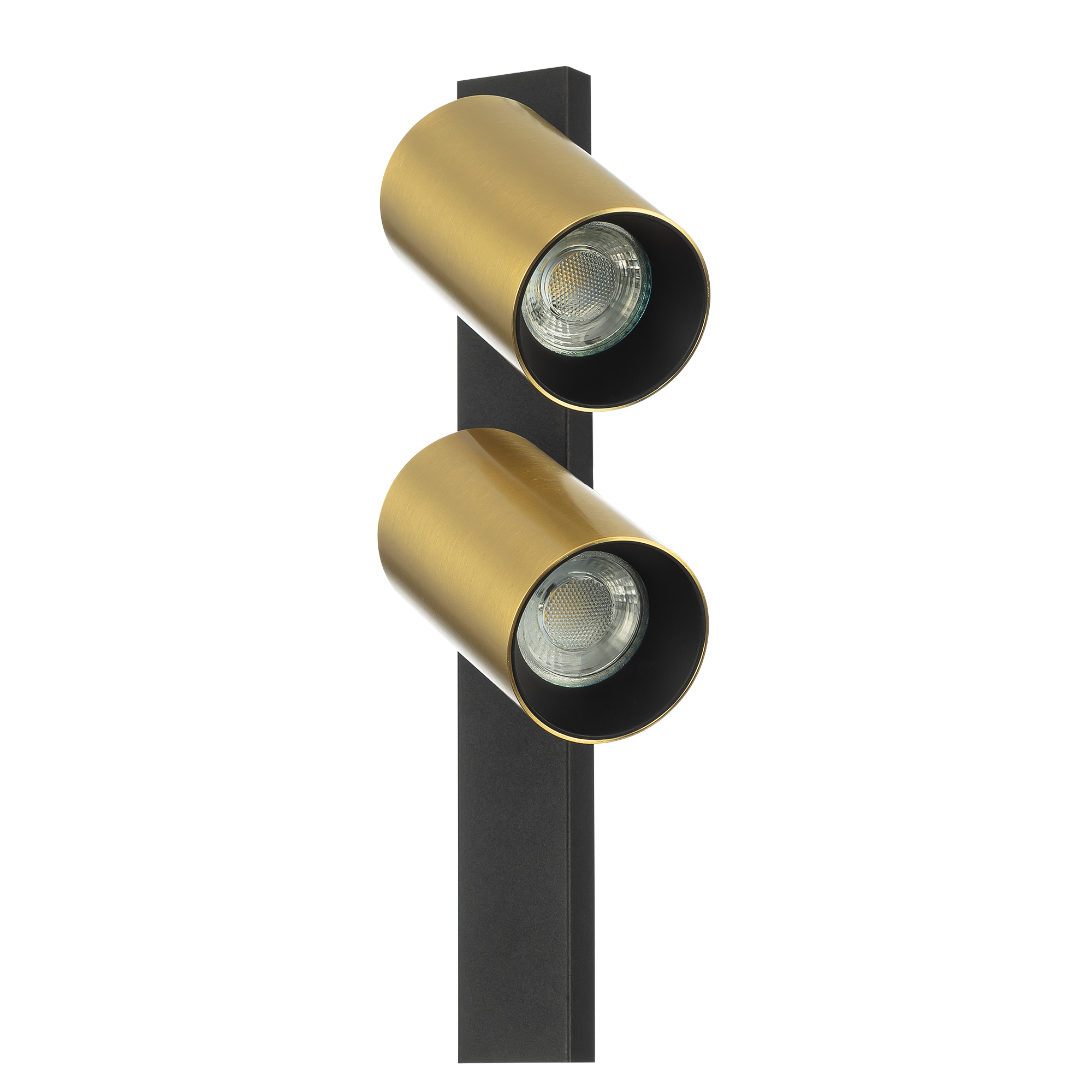 Citilux AXEL CL512522 Спот поворотный двойной Латунь арт. 89828