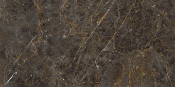 AE GOL6 12 LP 60x120 арт. 48505