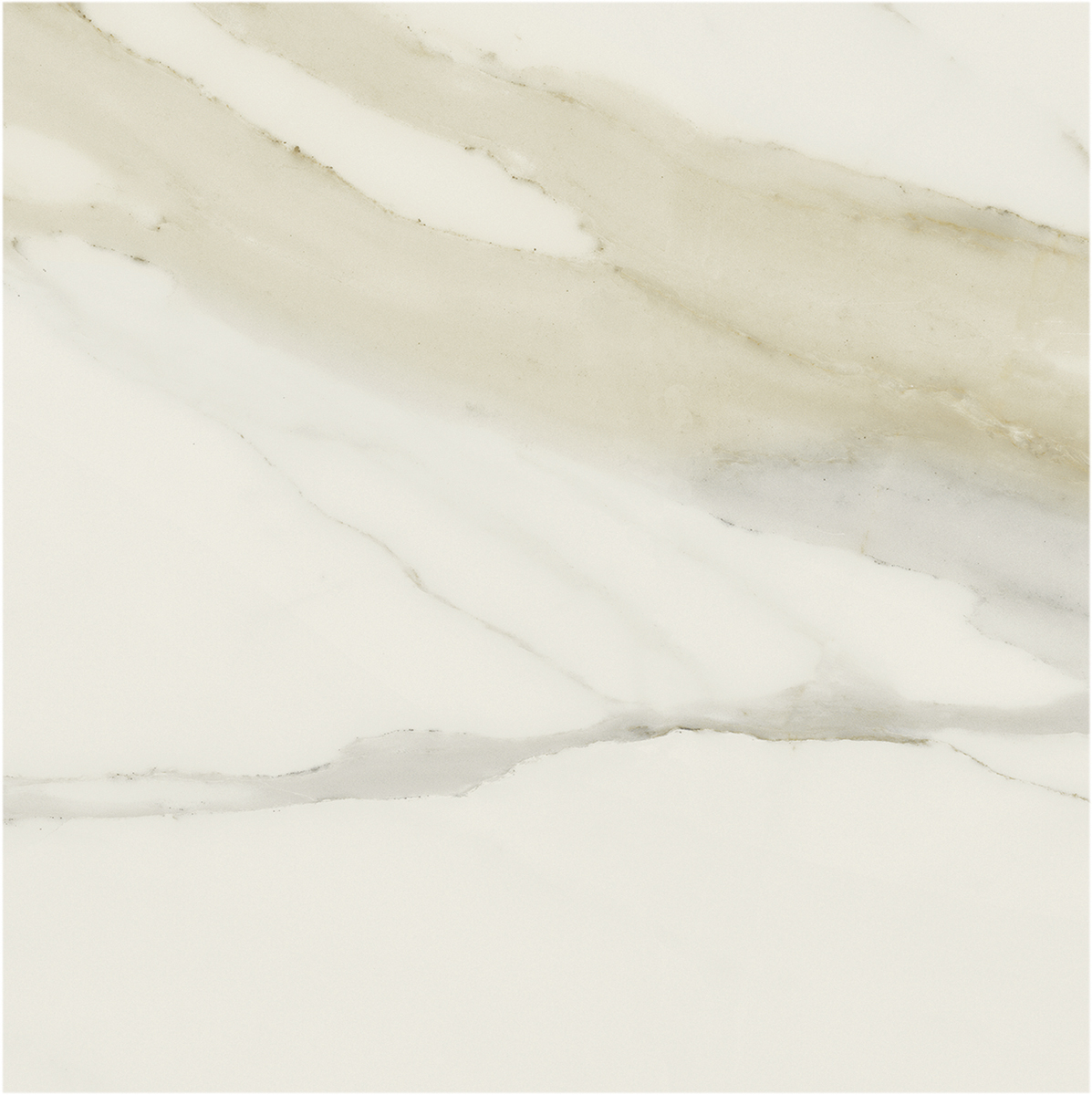 Керамогранит I CLASSICI CAL.GOLD 6MM MATTE 80X80 RET арт. 84900