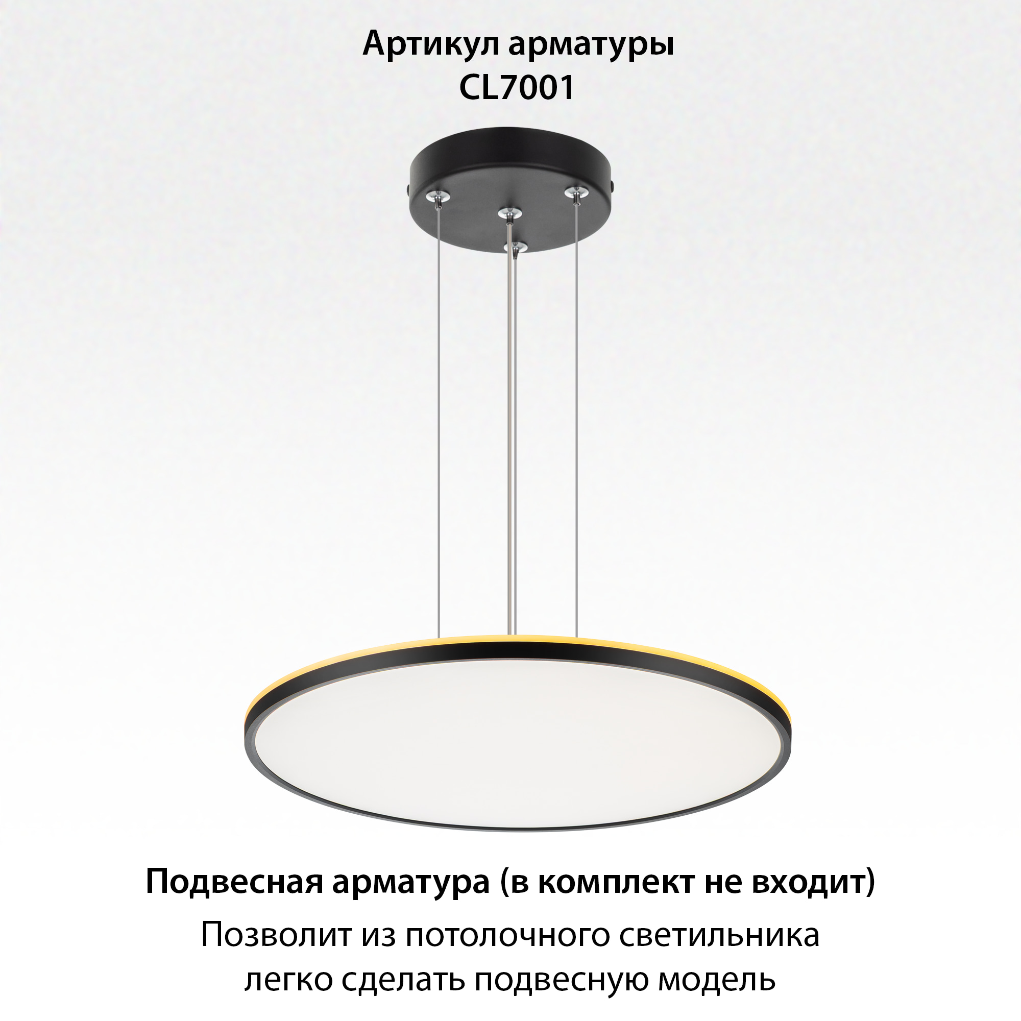 Citilux NORMA CL749601 LED RGB Светильник с пультом Чёрный арт. 89538