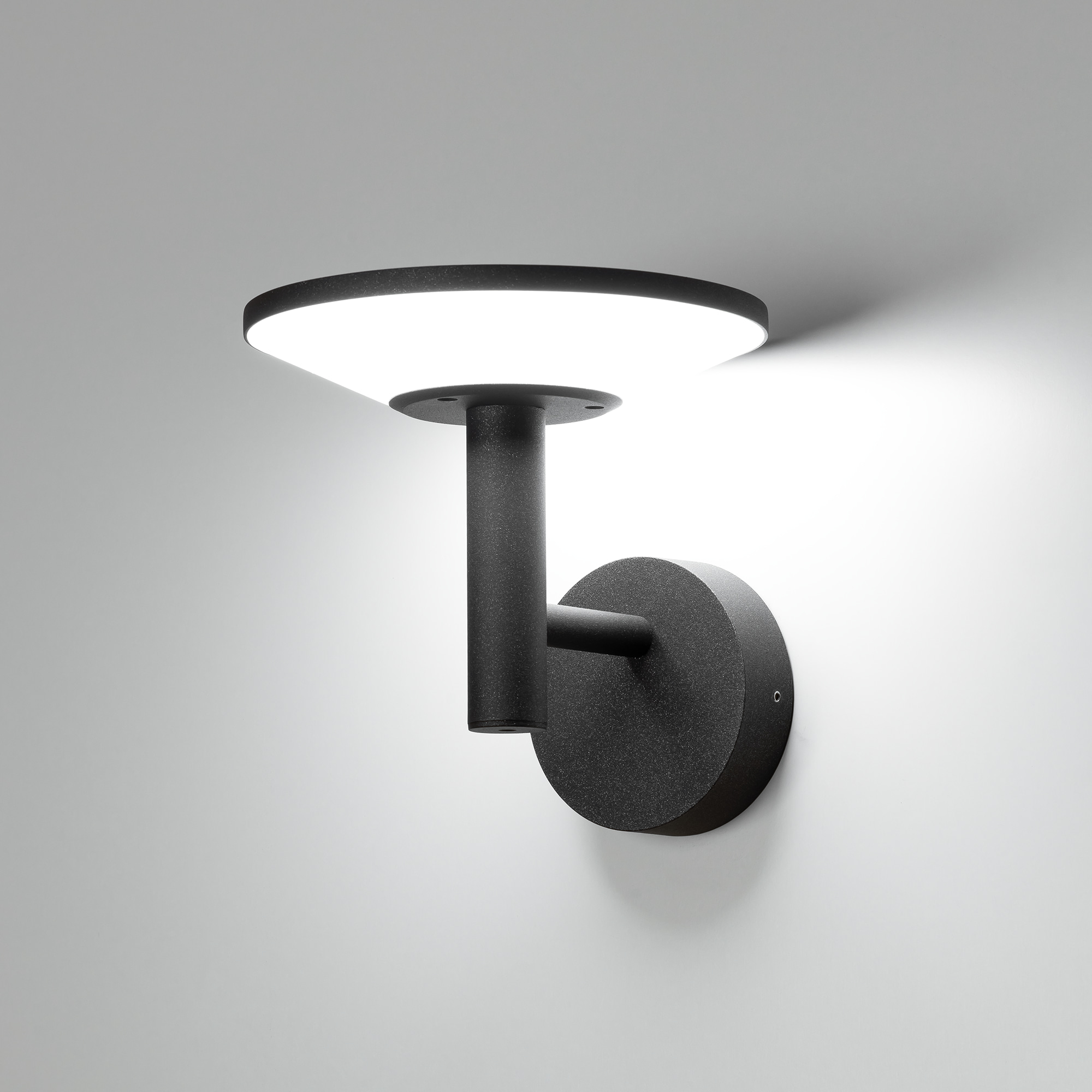 Citilux Dorn CLU05W LED Уличный настенный светильник Графит арт. 89160