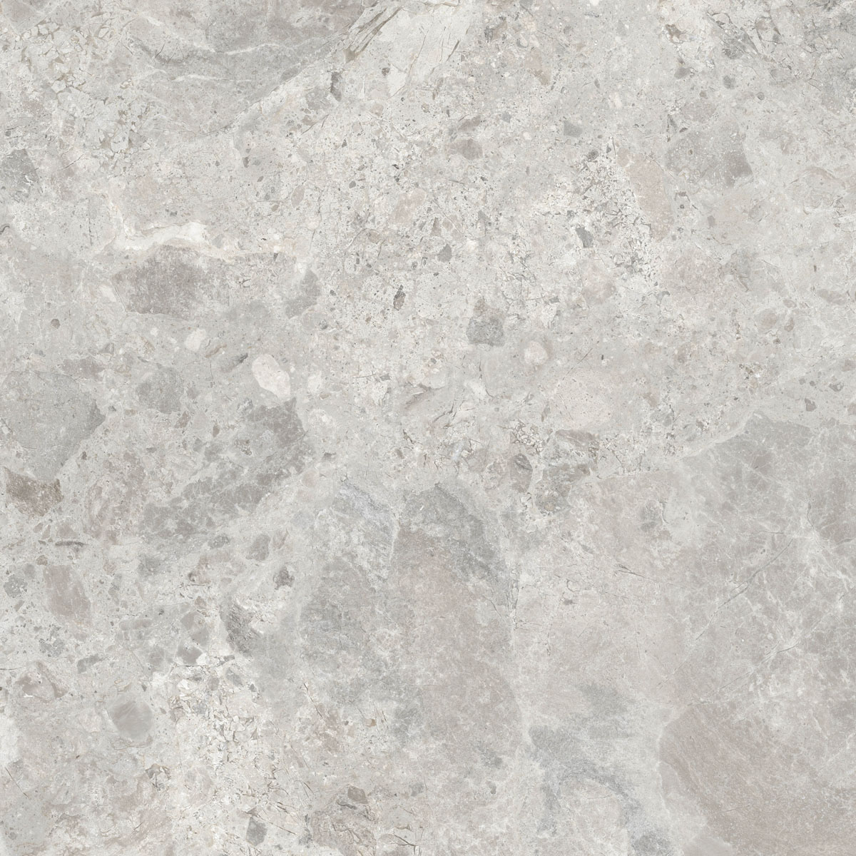 Керамический гранит  ERA BLOOM. ASH NAT R120X120 арт. 126231