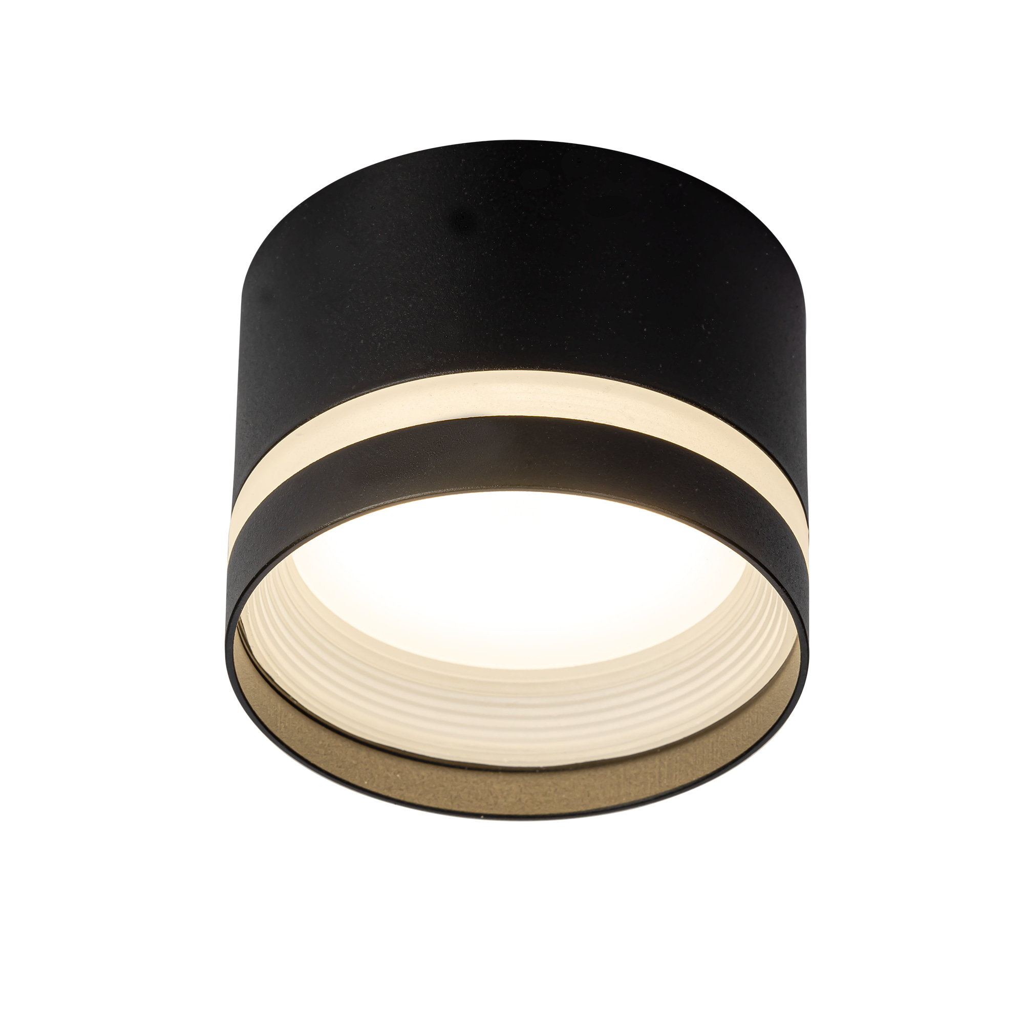 Citilux Hardy CL002C11 Светильник накладной Чёрный арт. 89323