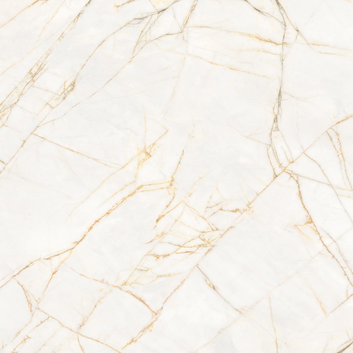 Керамическая плитка  SUPREME HEDONISM  GOLD SPID. LU3 R 120X120 арт. 86062