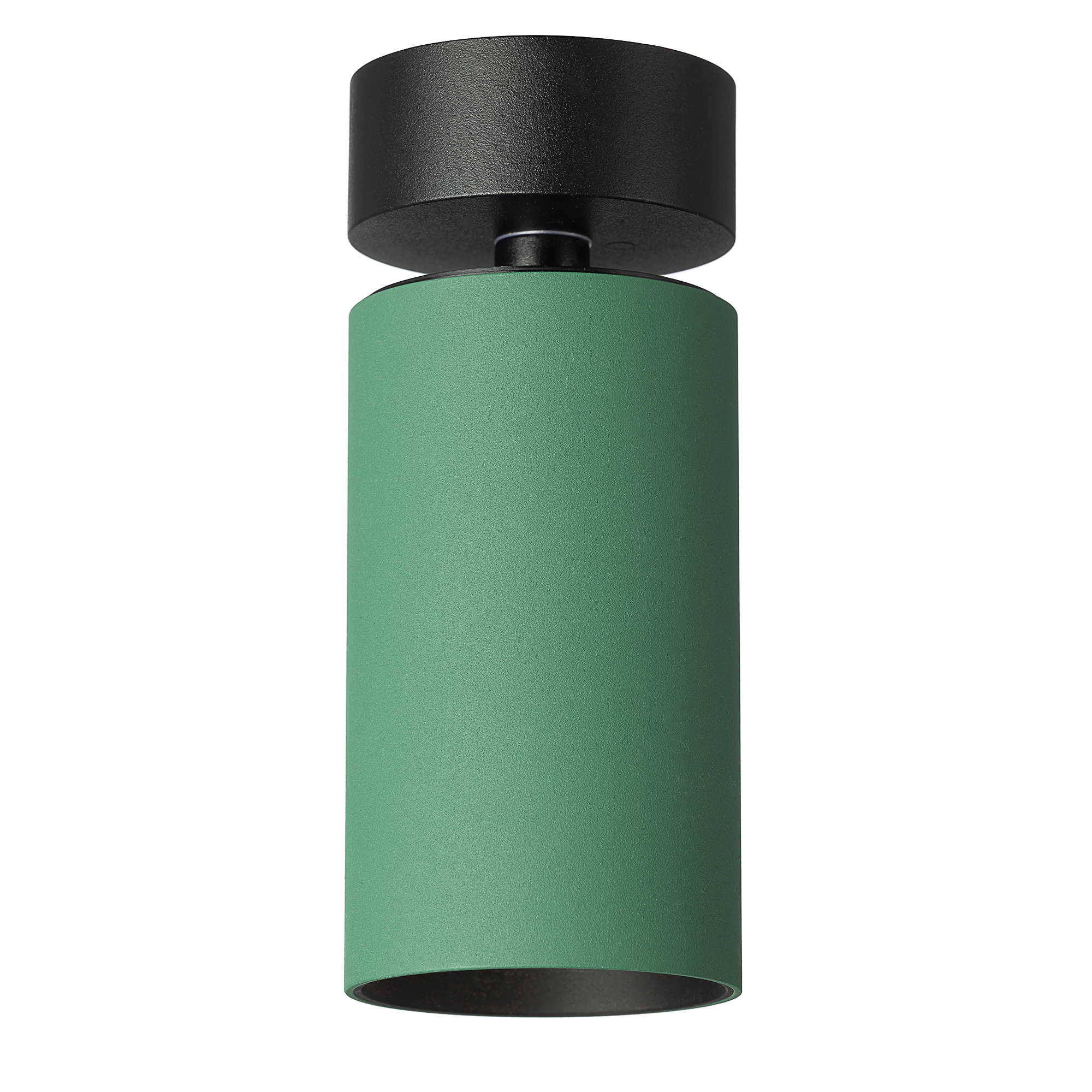 Citilux AXEL CL512215 Накладной поворотный светильник Зелёный арт. 129433