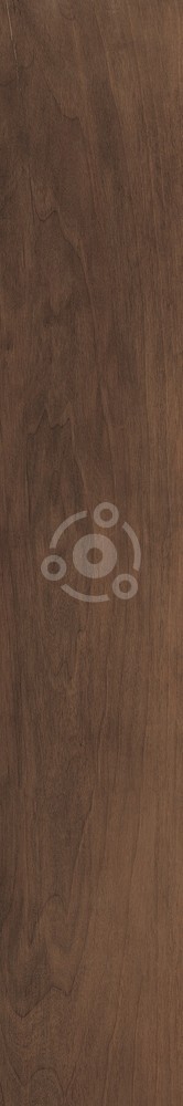 Плитка Antique Walnut Fondi Nat.rettificat (gl) 20х120 см арт. 129273