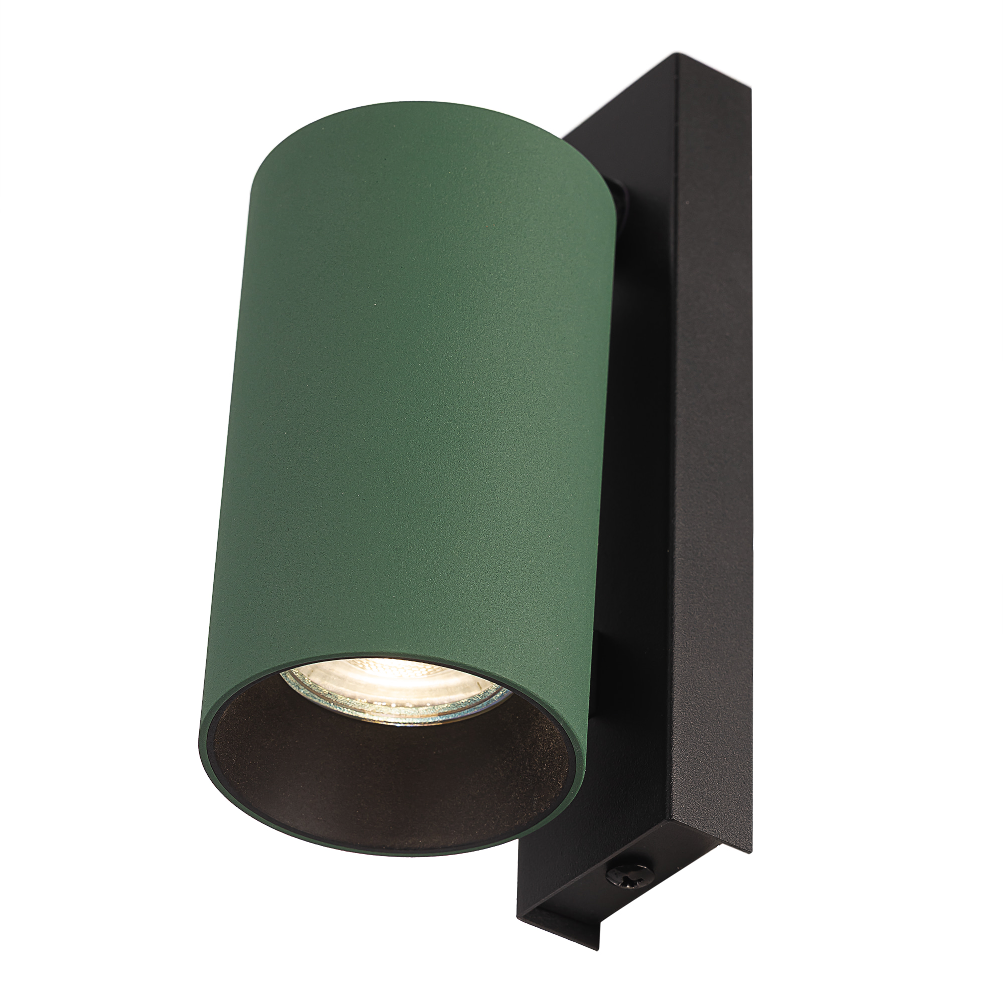 Citilux AXEL CL512515 Спот поворотный с выключателем Зелёный арт. 129437