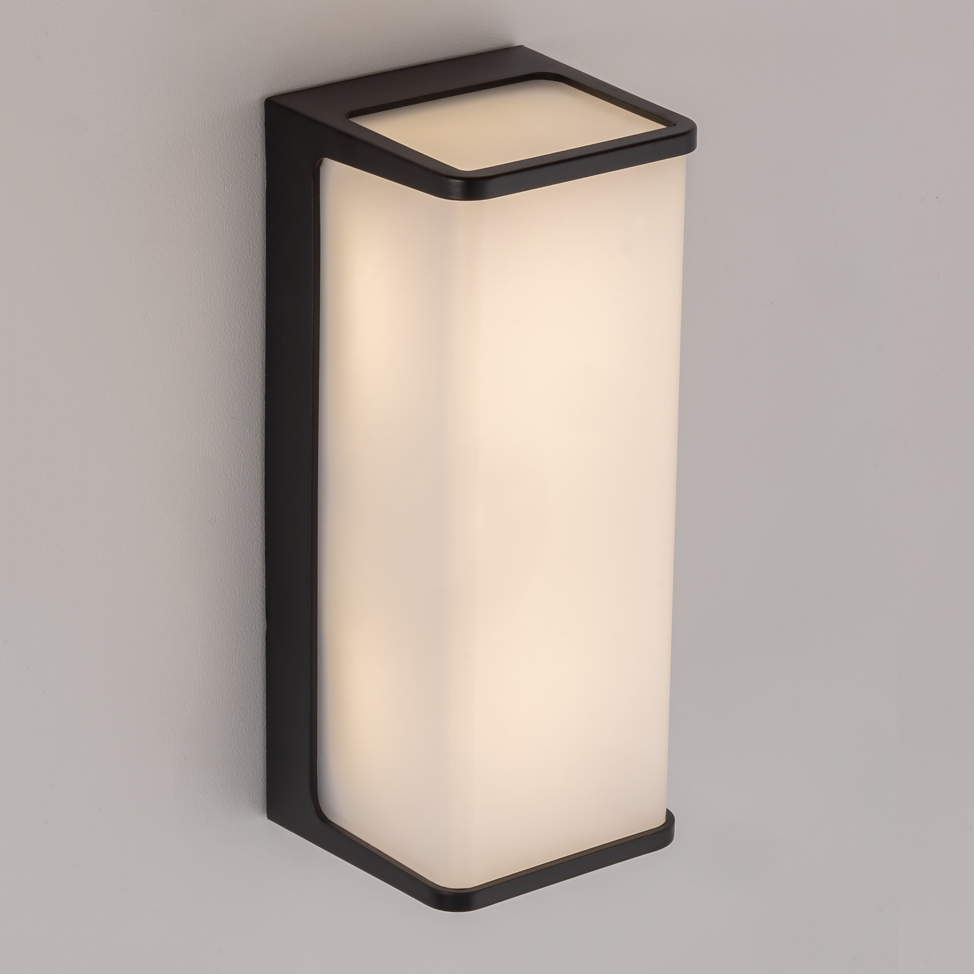 Citilux DOMUS CLU0802 LED Уличный настенный светильник Чёрный арт. 89363