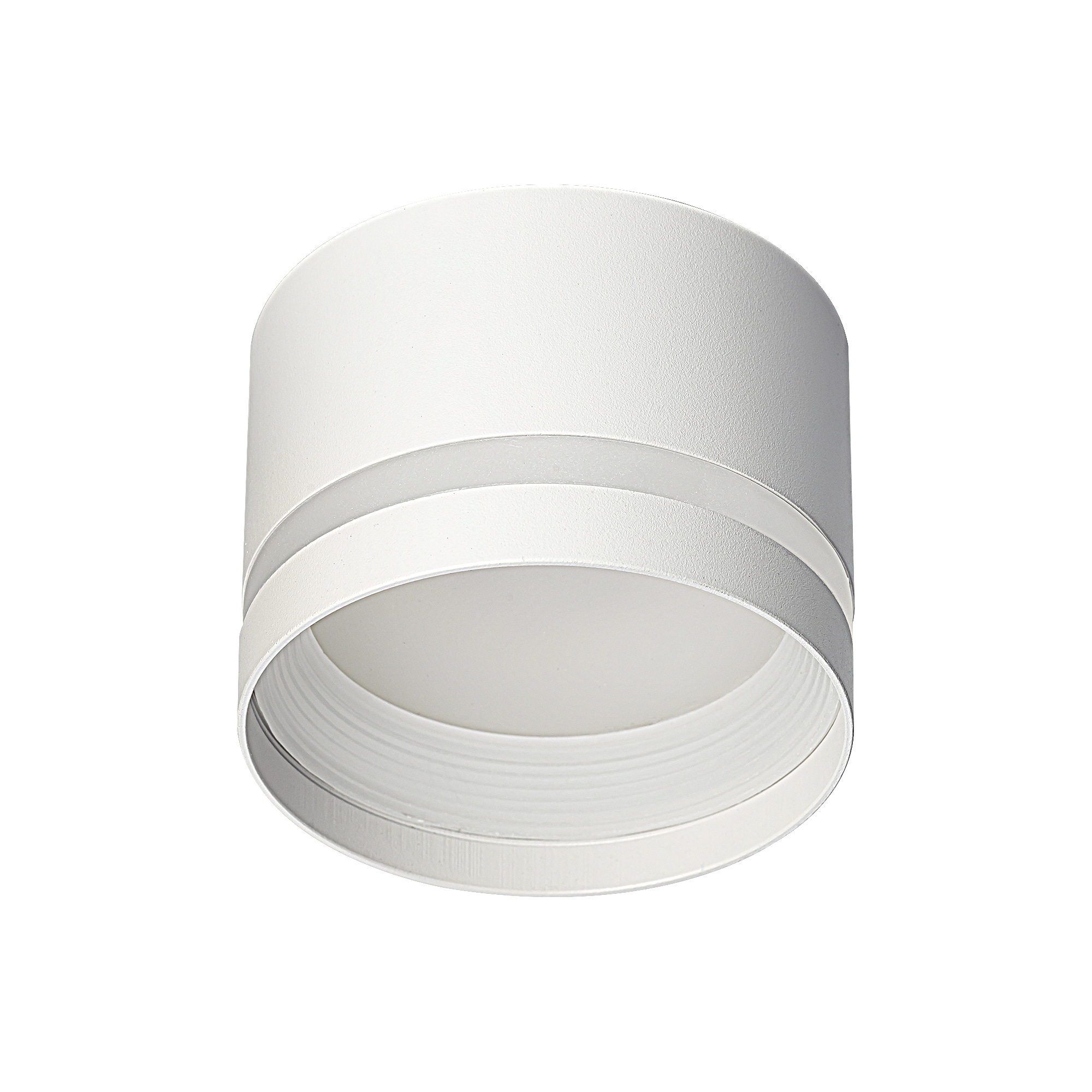 Citilux Hardy CL002C10 Светильник накладной Белый арт. 89322