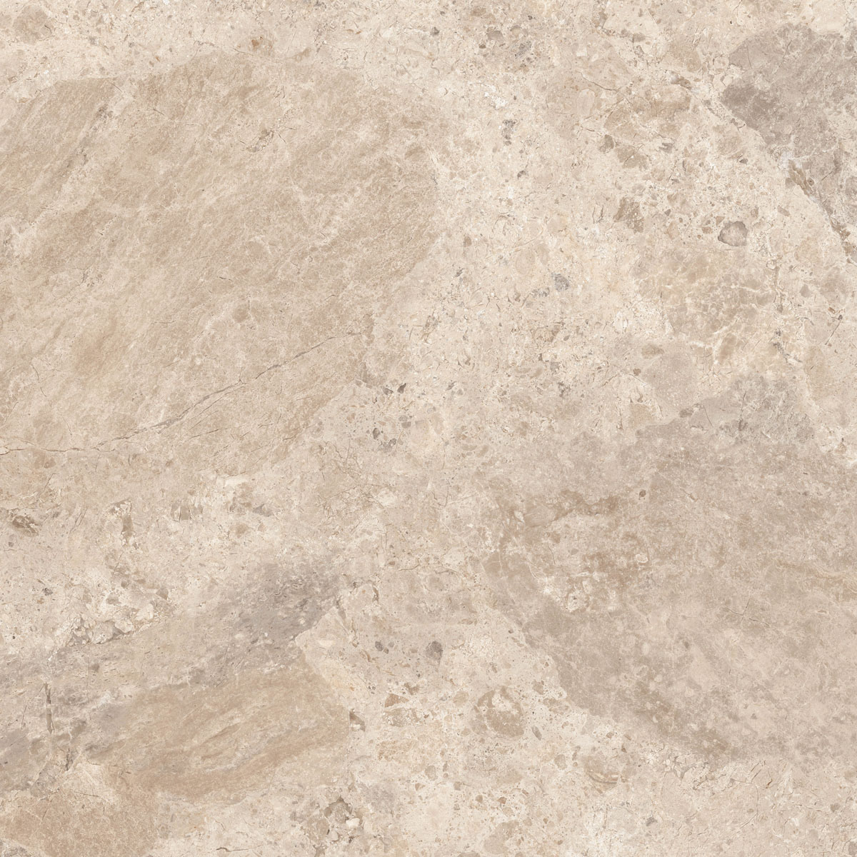 Керамический гранит  ERA BLOOM. TAUPE LAP R120X120 арт. 126261