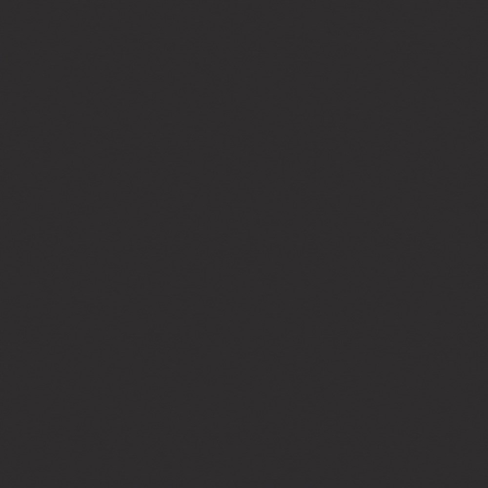 RW10 60x60 Непол.Рект. (Керамический гранит) Black