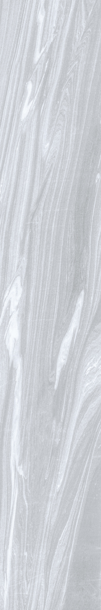 Керамогранит LUXE  ASH  LEV RET 20X120 арт. 82837