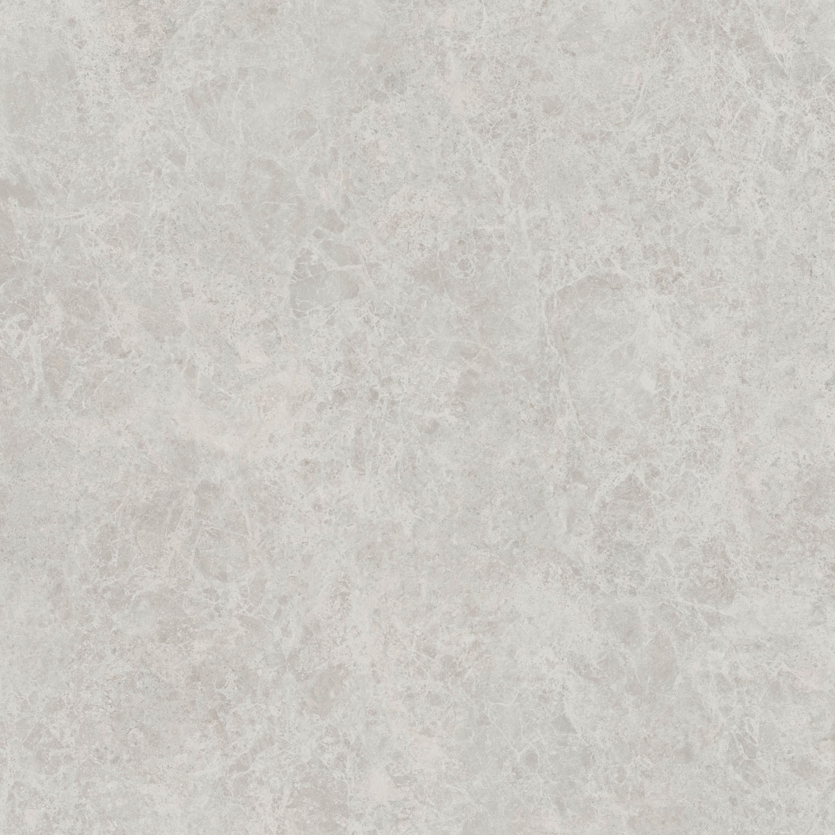 Керамический гранит  ERA DELIC. ASH NAT R120X120 арт. 126263