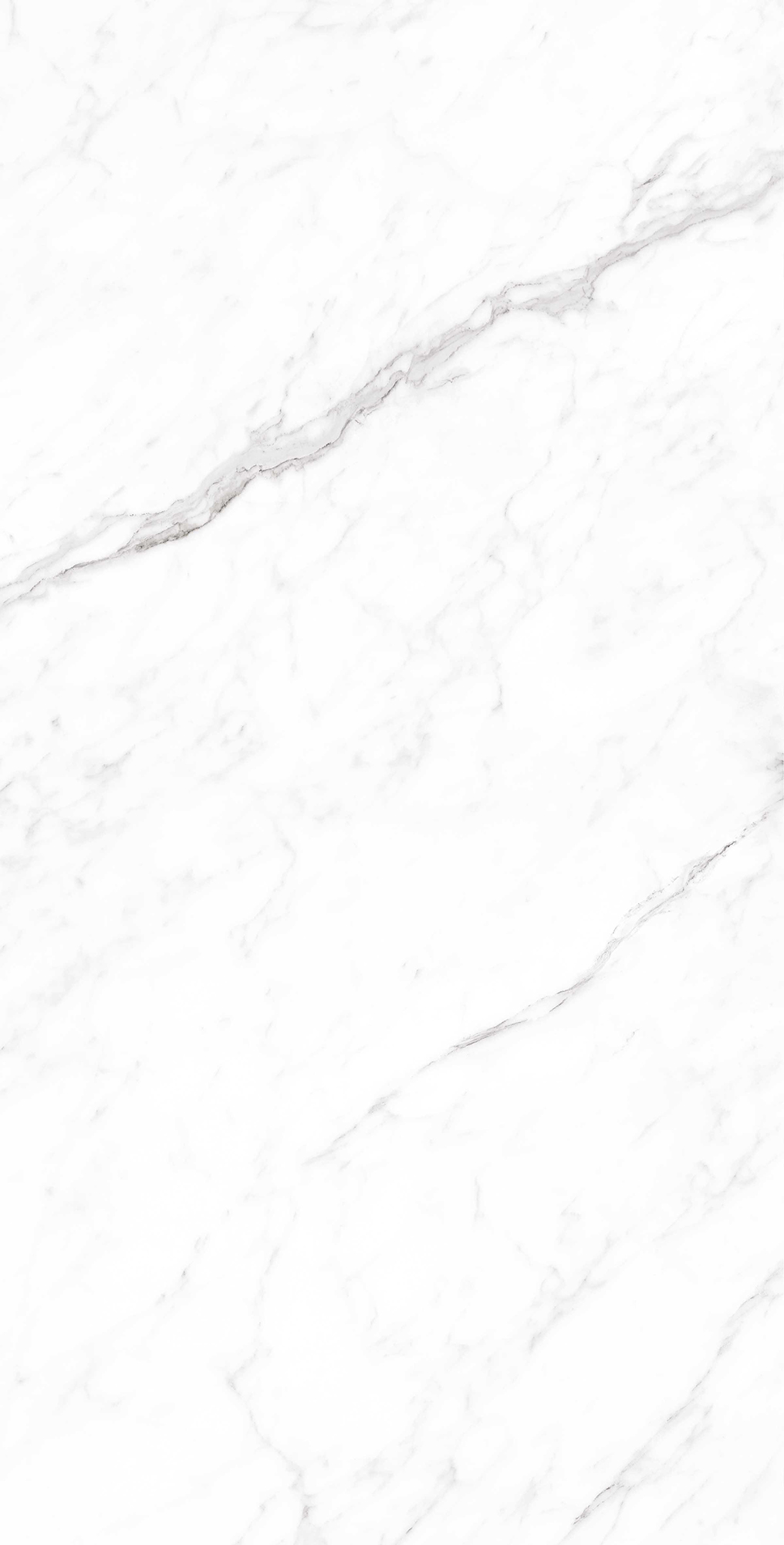 CORALINA WHITE