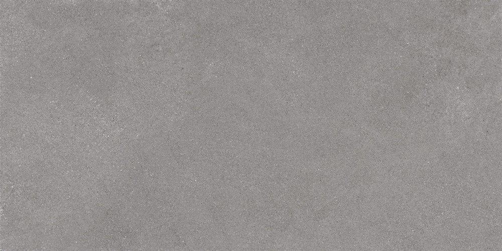 LN02 60x120x10 Непол.Рект. (Керамический гранит) Grey