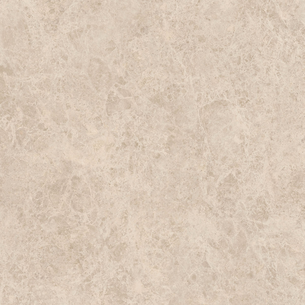 Керамический гранит  ERA DELIC. TAUPE NAT R120X120 арт. 126248