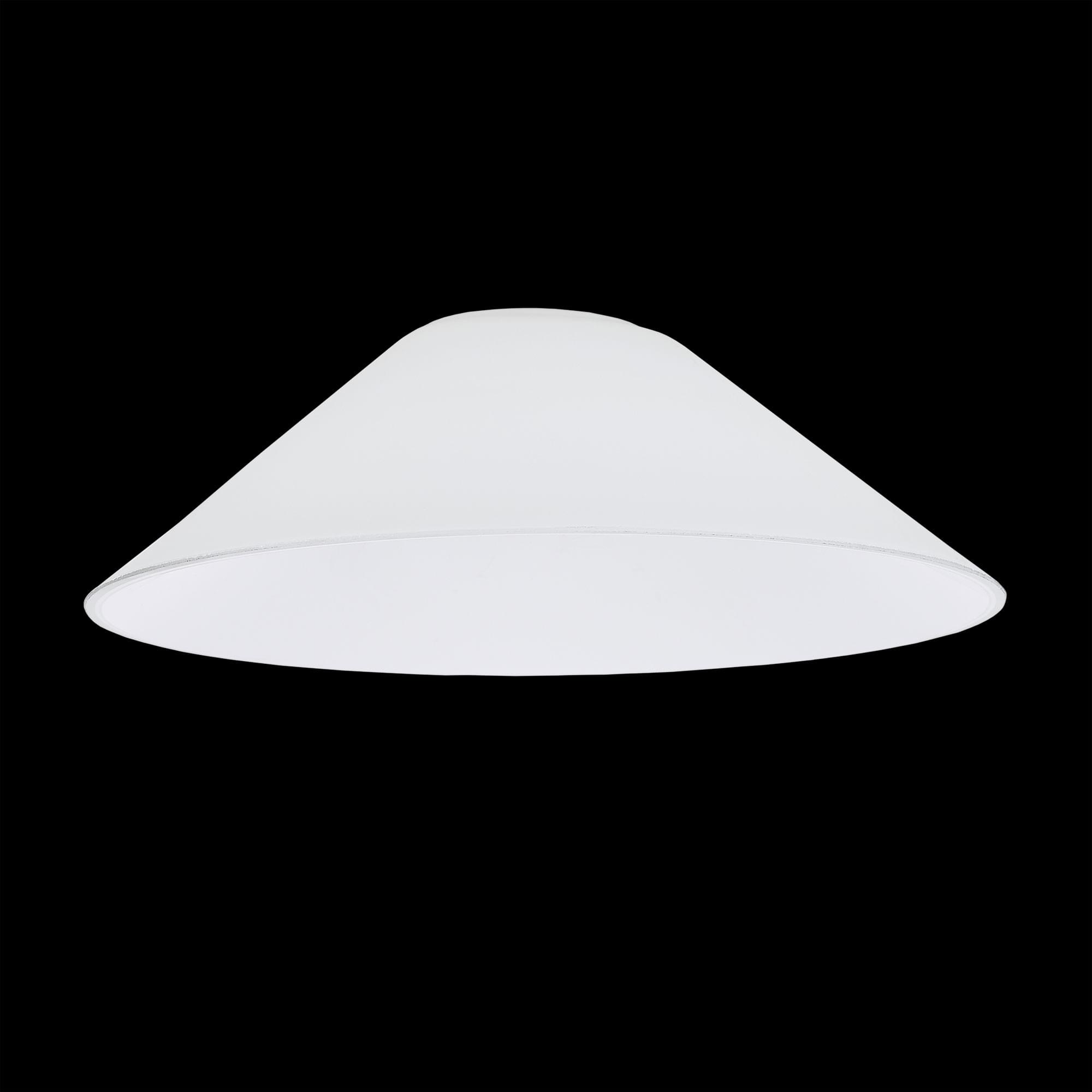 Citilux Эдисон CL450.12 Плафон арт. 88216