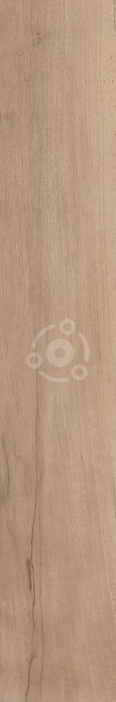 Плитка Antique Clay Fondi Nat.rettificat (gl) 20х120 см арт. 128917