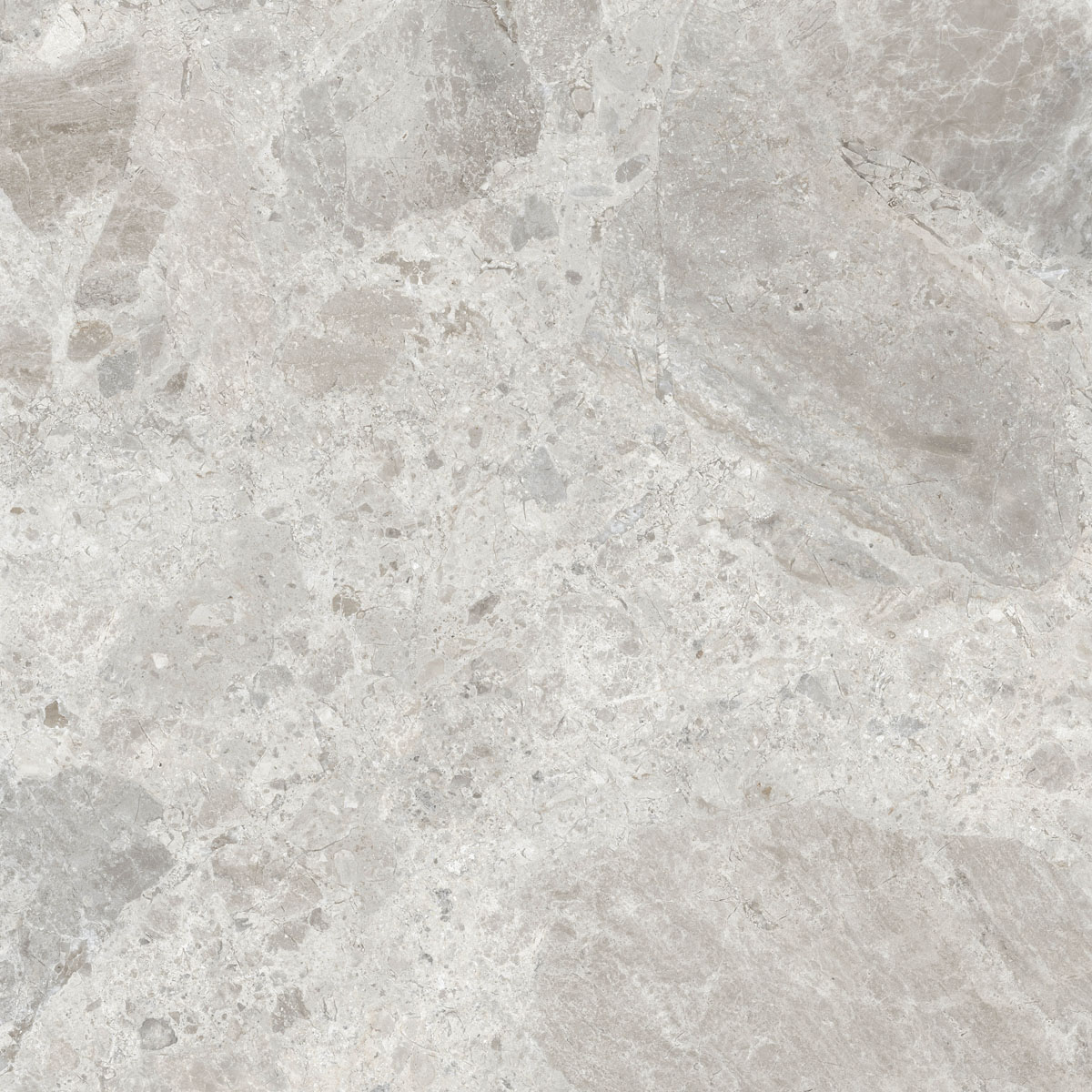 Керамический гранит  ERA BLOOM. ASH NAT R120X120 арт. 126231