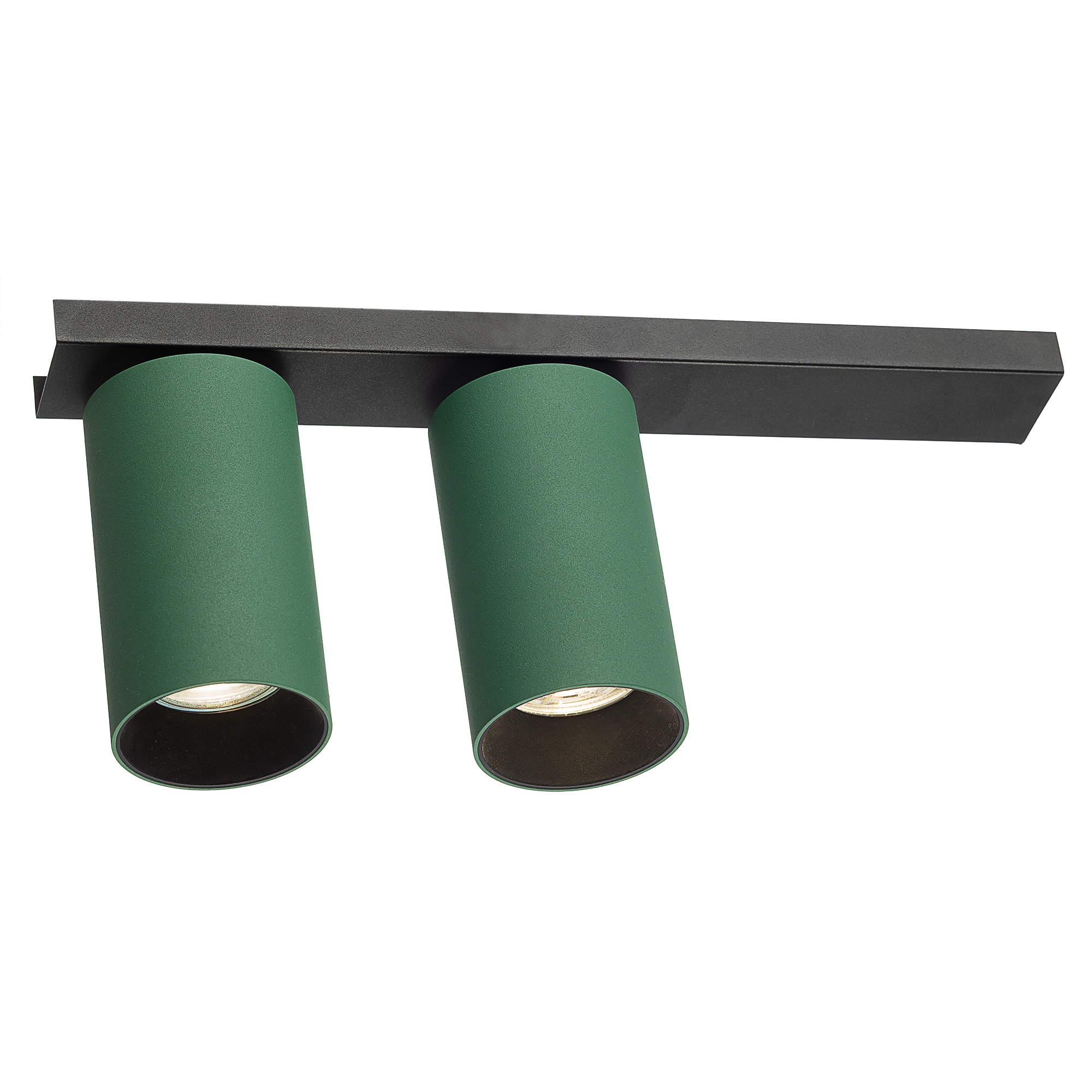 Citilux AXEL CL512525 Спот поворотный двойной Зелёный арт. 129439