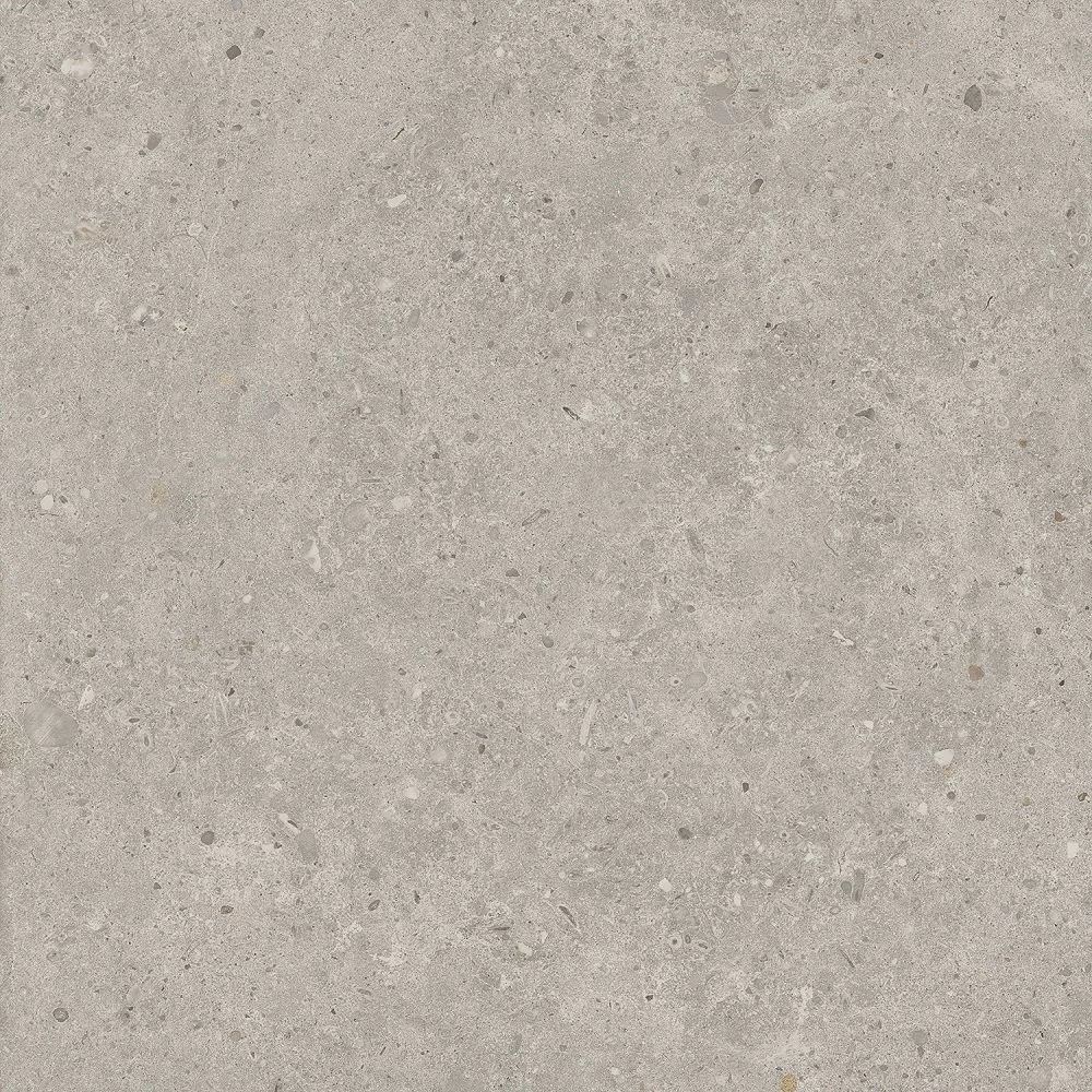 SG653720R Риккарди серый светлый матовый обрезной 60x60x0,9 Орел (1,44)