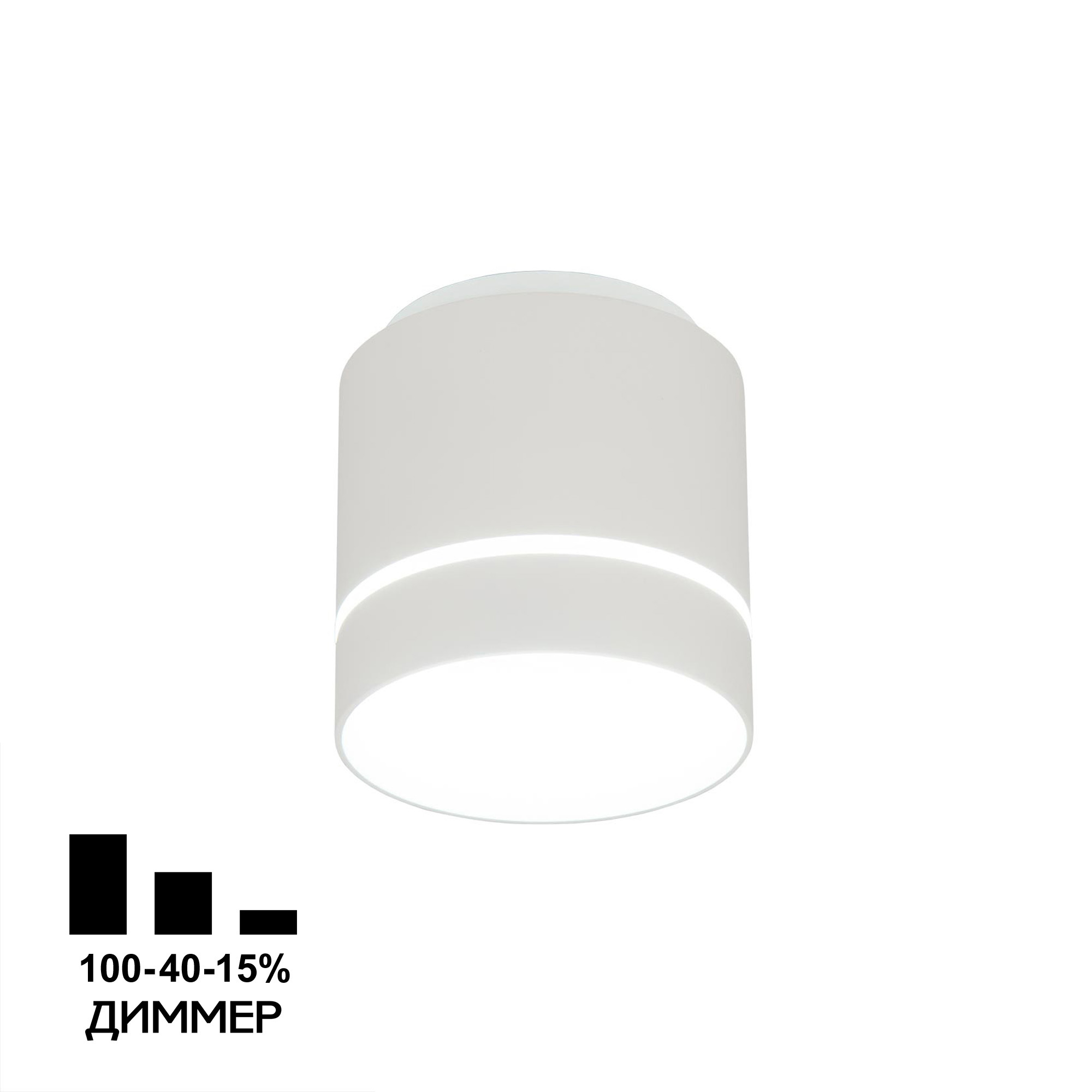 Citilux Борн CL745010N LED Светильник накладной Белый арт. 88669