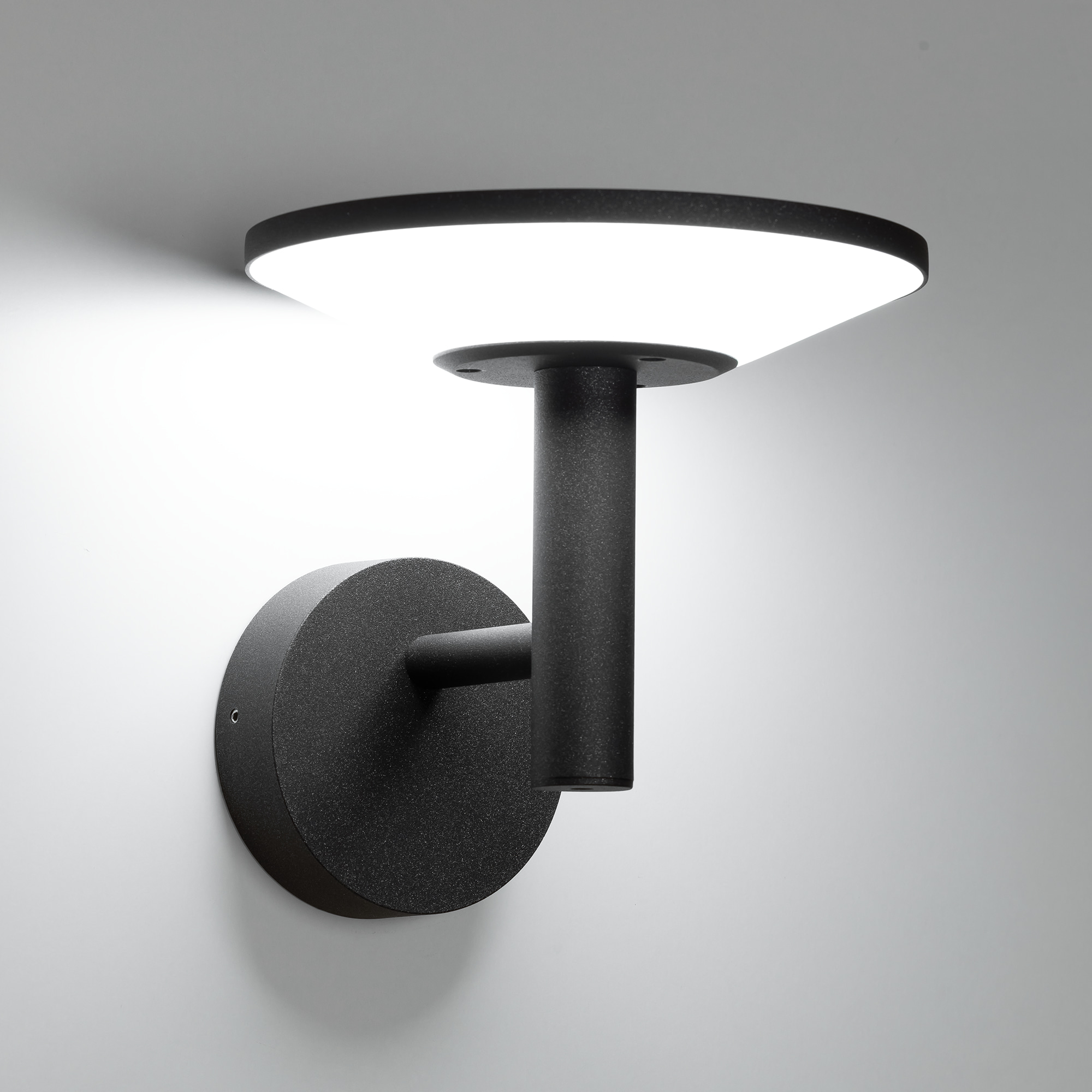 Citilux Dorn CLU05W LED Уличный настенный светильник Графит арт. 89160