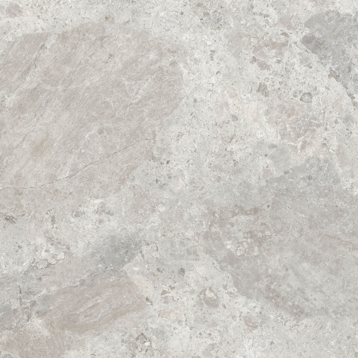 Керамический гранит  ERA BLOOM. ASH NAT R120X120 арт. 126231