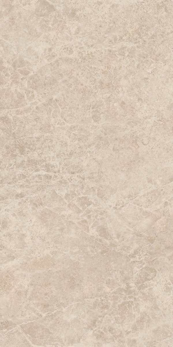 Керамогранит ERA DELIC. TAUPE NAT R60X120 арт. 126200