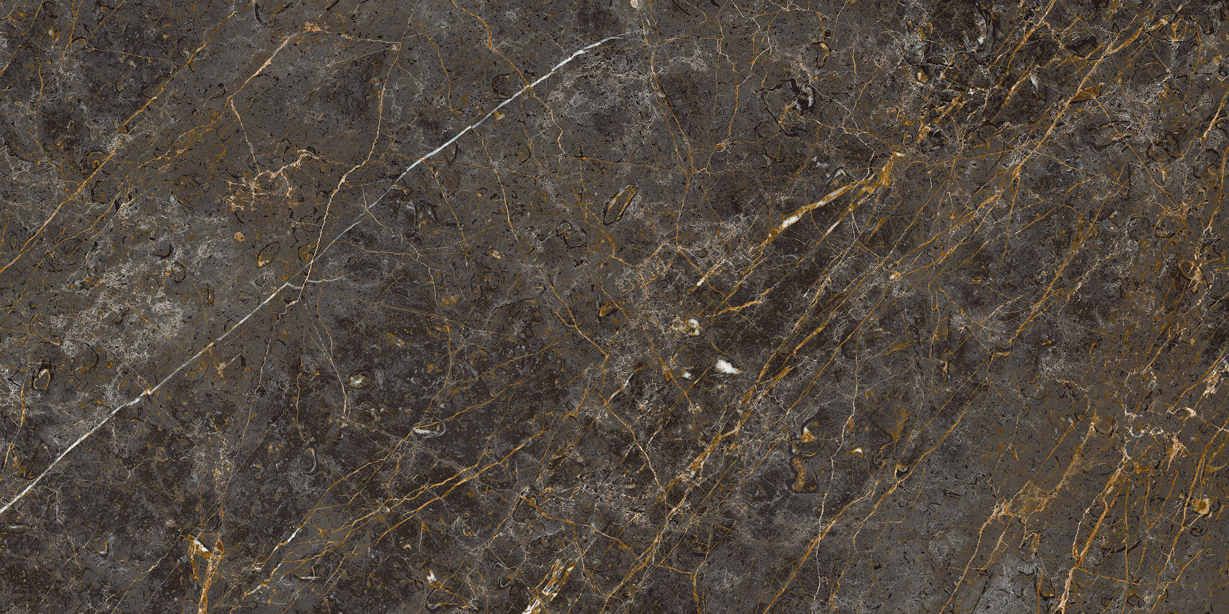 AE GOL6 12 LP 60x120 арт. 48505