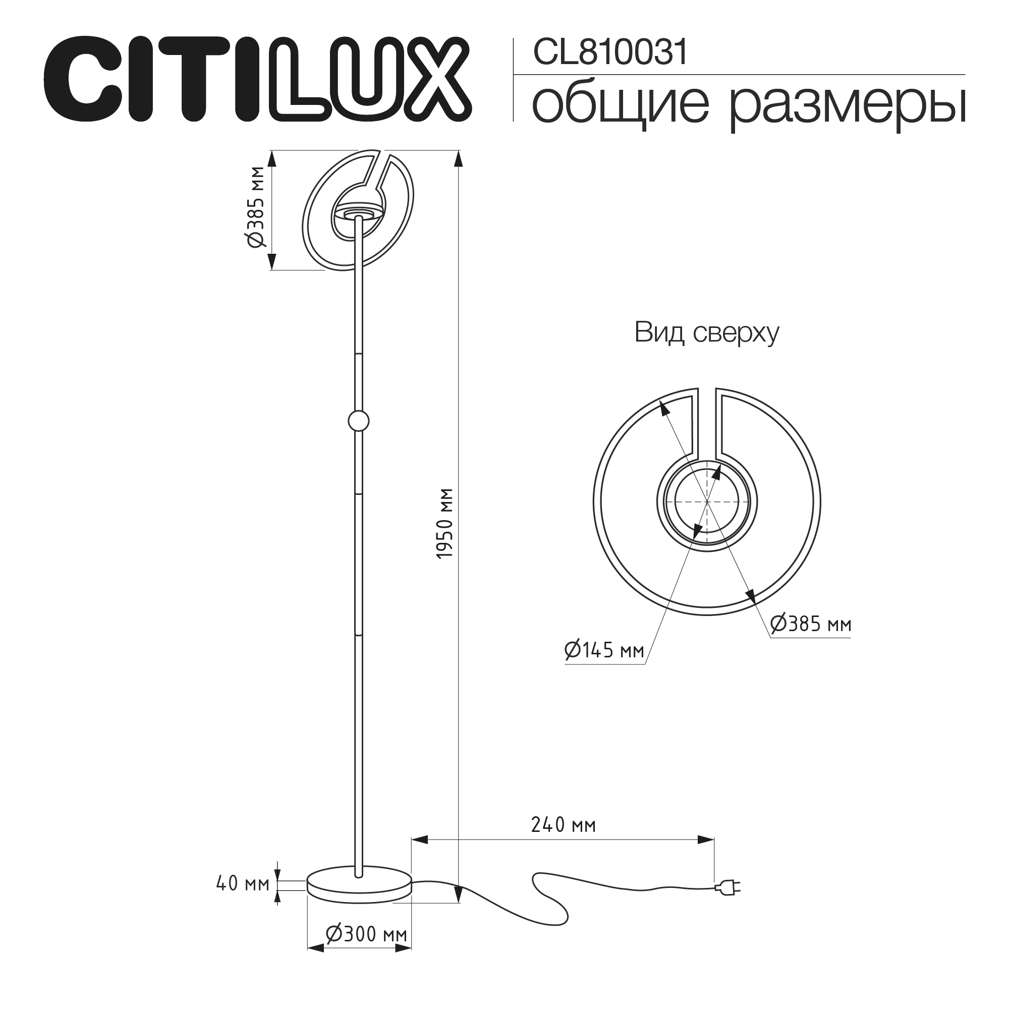 Citilux LOONG CL810031 LED RGB Торшер с пультом Чёрный арт. 89737