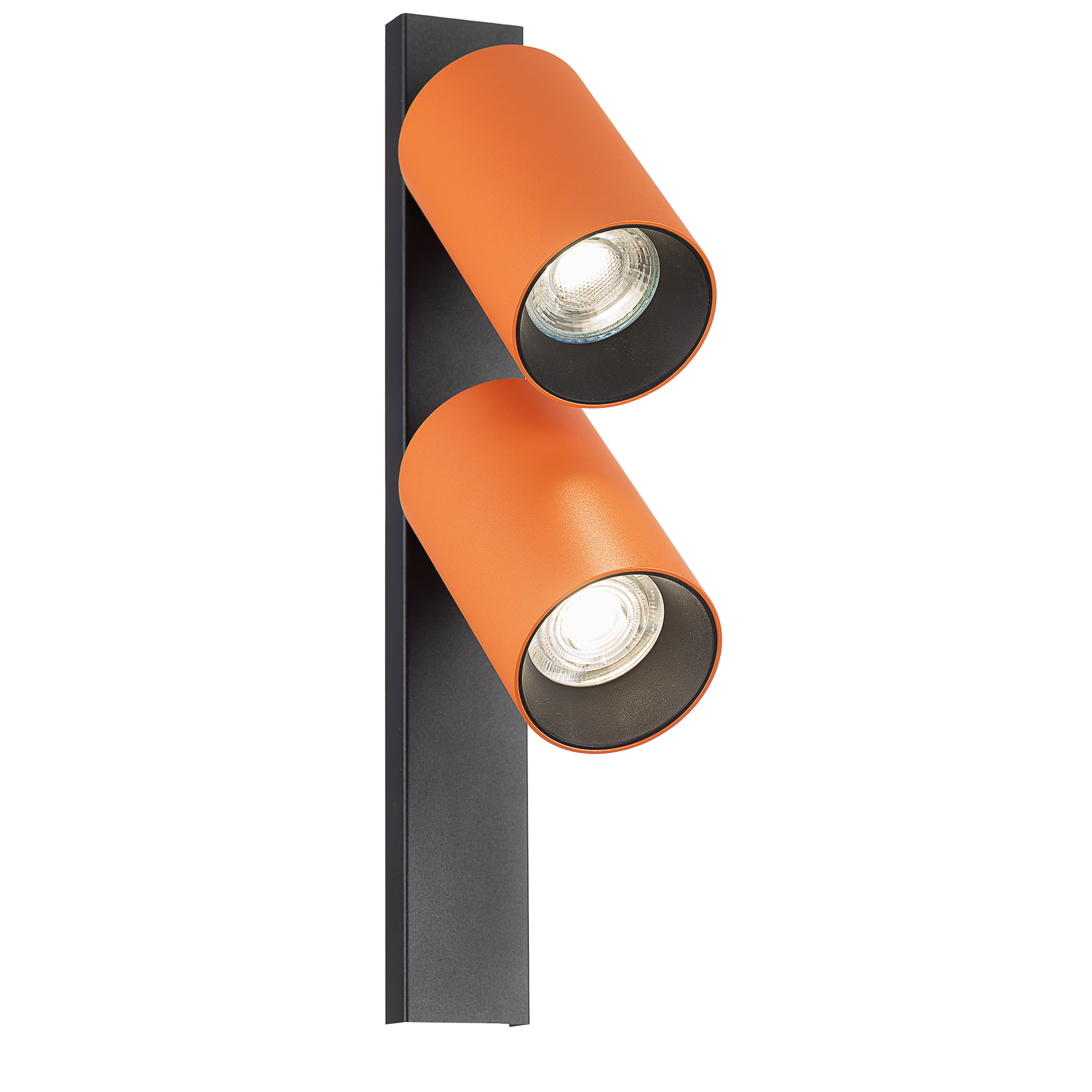 Citilux AXEL CL512524 Спот поворотный двойной Терракот арт. 129446