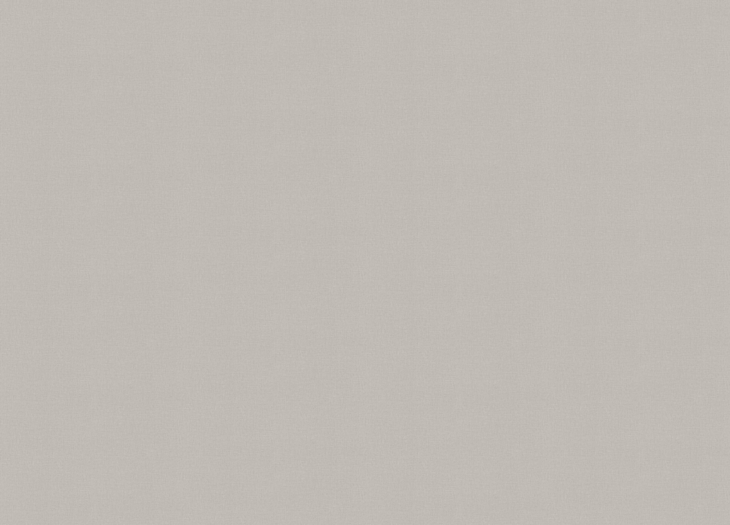 A101306 Обои ARTSIMPLE (1*6) 10,00x1,06 винил на флизелине