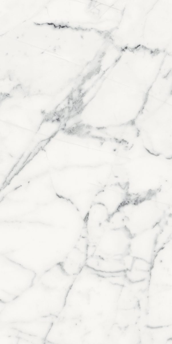 Керамогранит LES ORIGINES DE REX BLANC GLOSSY 60X120 арт. 85055