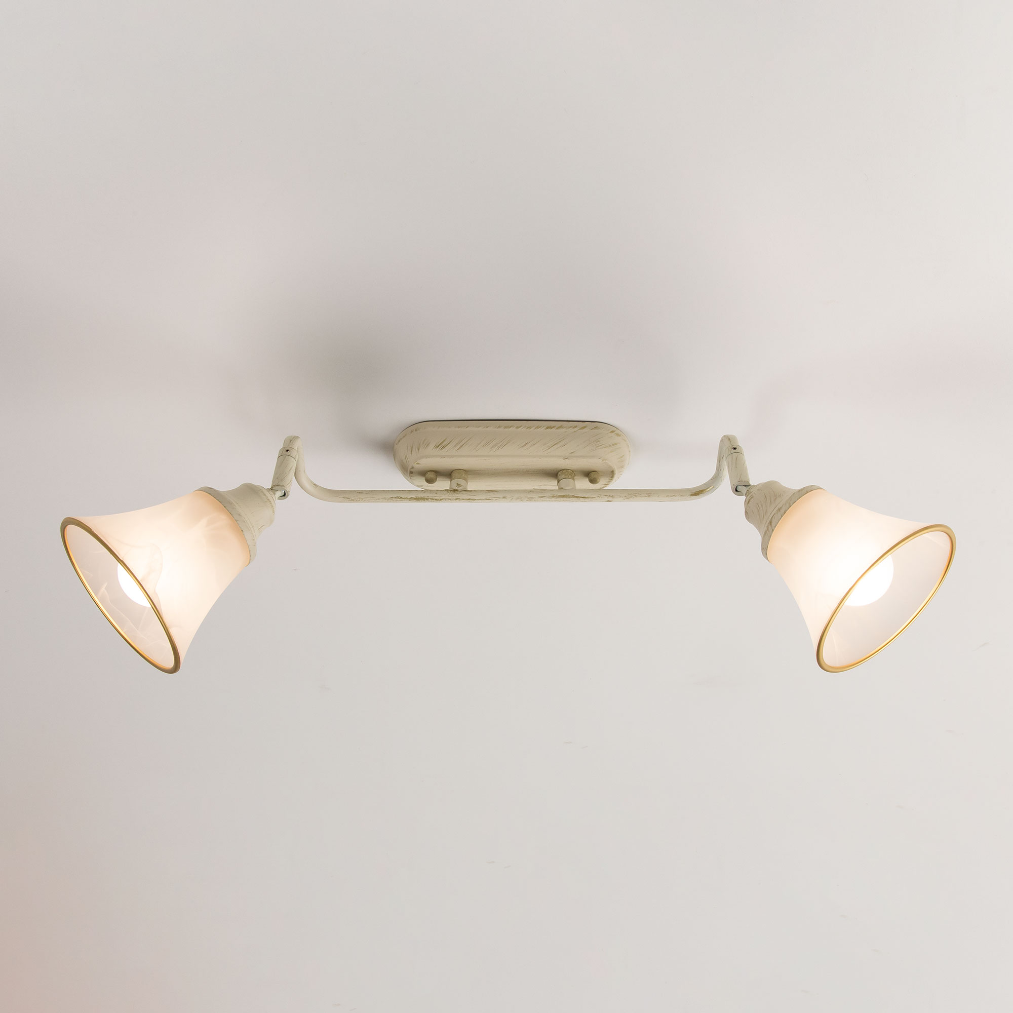 Citilux Прованс CL511524 Спот поворотный Белый с патиной арт. 88616