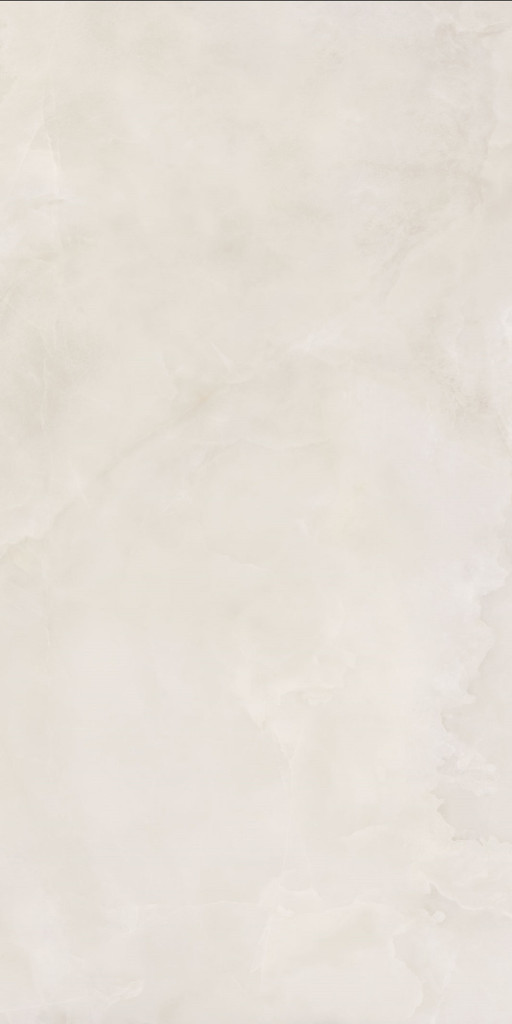 ANIMA EVER Royal Onyx Matt R10B 60X120 арт. 74136