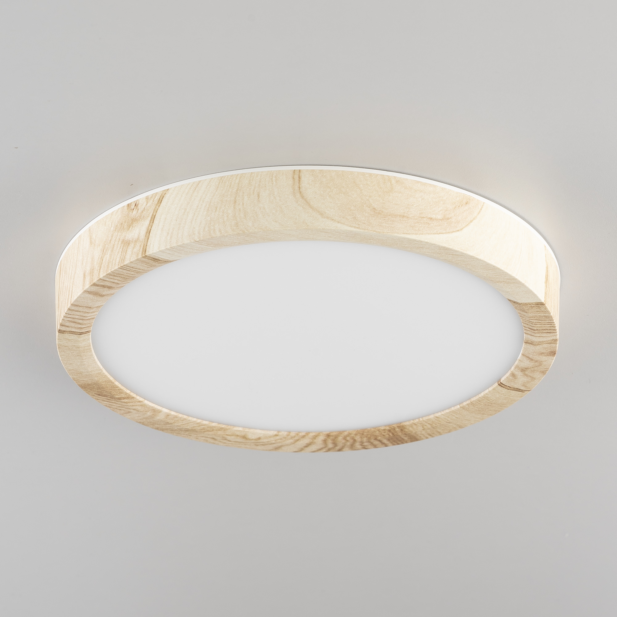 Citilux Бейсик CL738122N LED Светильник накладной Клён арт. 89192