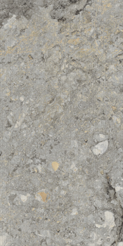 GREINV6 Q12 RM 60x120 Серый