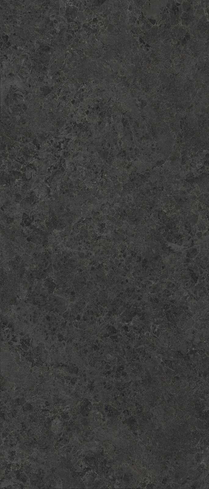Керамогранит 05485 BELGIUM BLACK NAT RET 120х280 арт. 86901